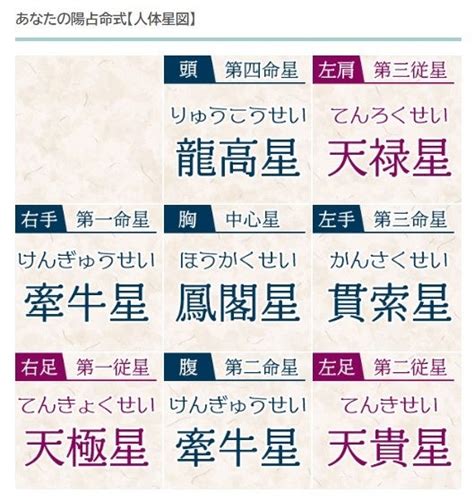 算命種類|算命学｜完全無料「人体星図から導く」あなたの性格 